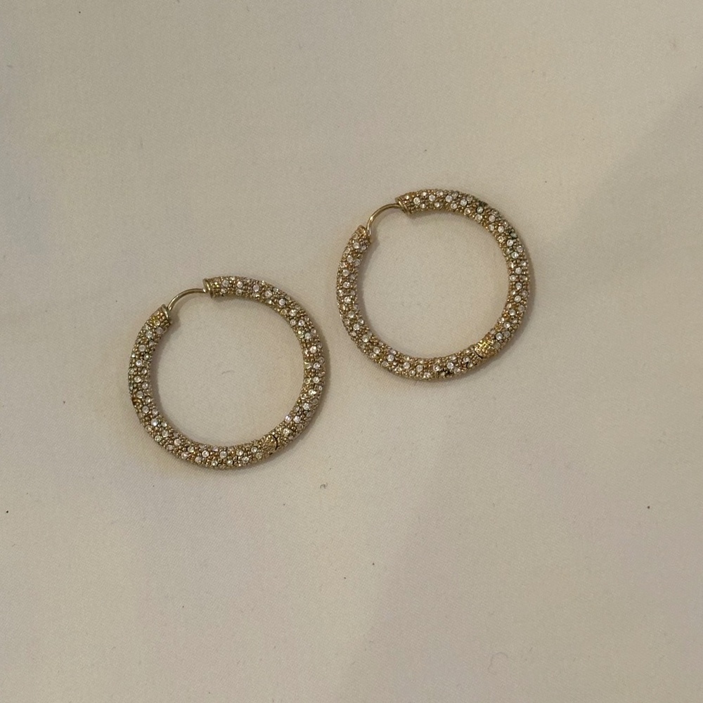 Hoop Earrings